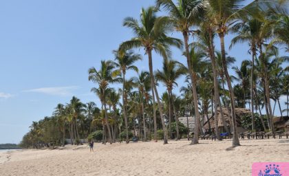 Tournée à Zanzibar (Tanzanie)
