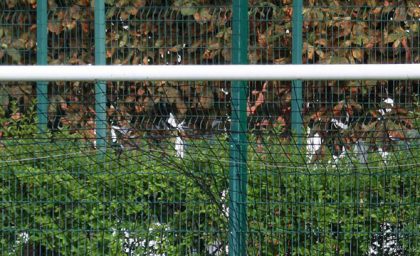 Match contre Suresnes