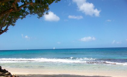 Tournée aux Grenadines
