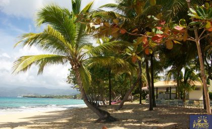 Tournée aux Grenadines