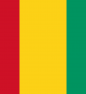 Team Guinée
