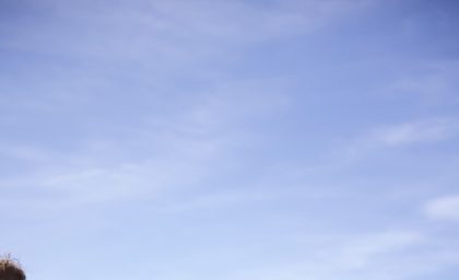 Match à Limours